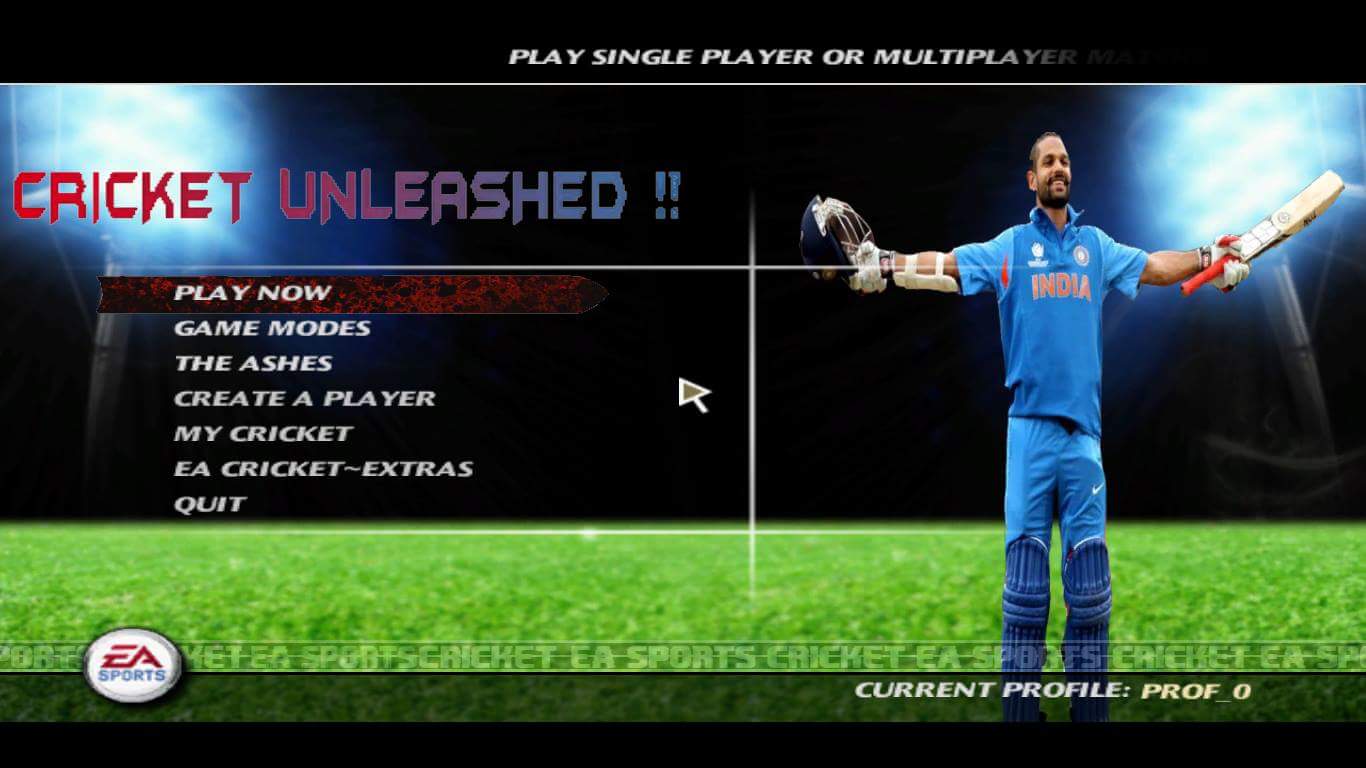 play cricket 7 multiplay